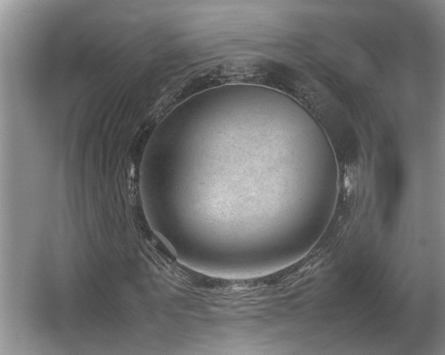 X0000067360867200603311216