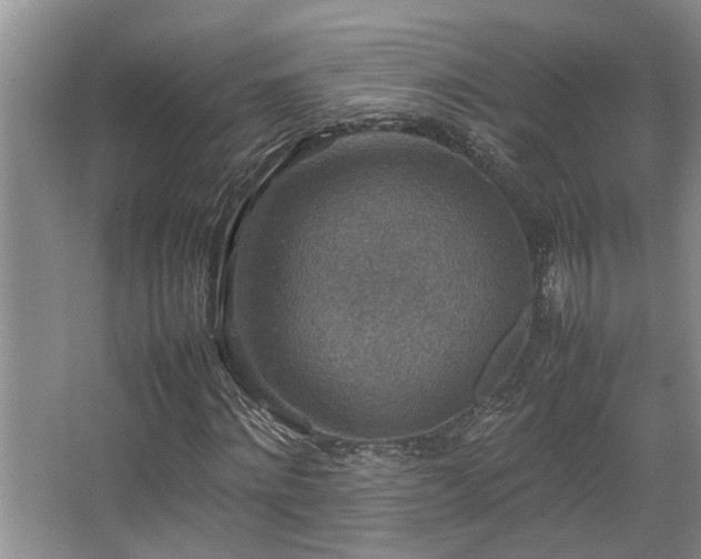 X0000067360868200603311216
