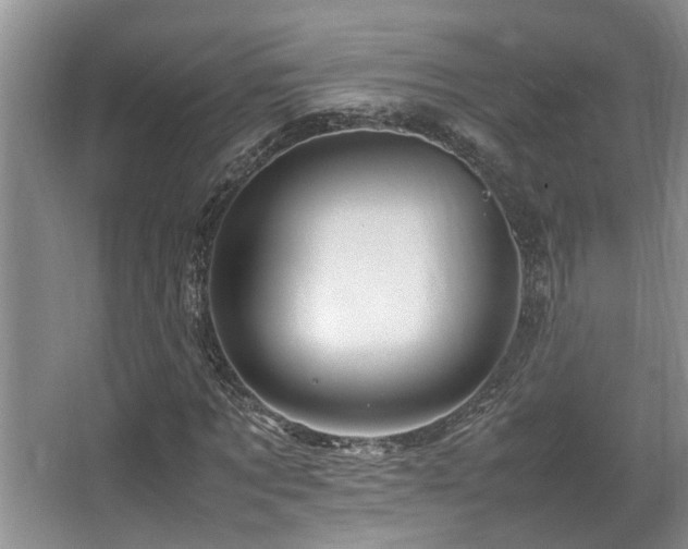 X0000067360869200603311216