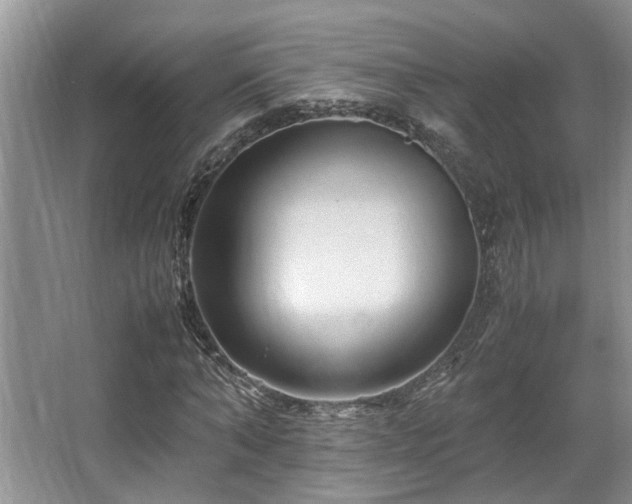 X0000067360870200603311216