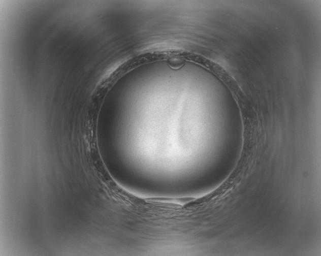 X0000067360871200603311216