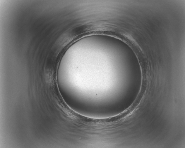 X0000067360873200603311215