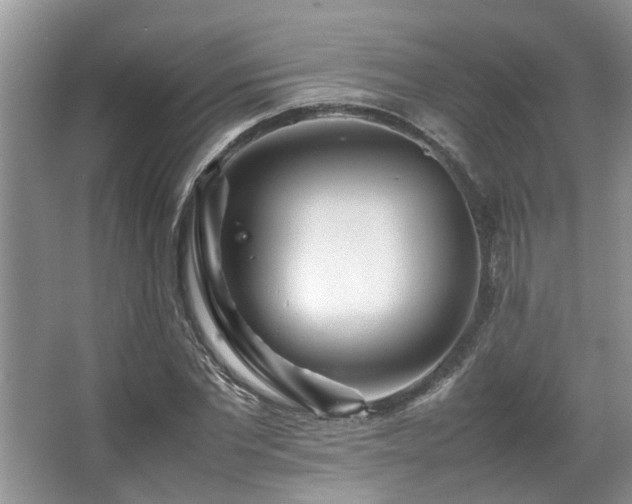 X0000067360877200603311215