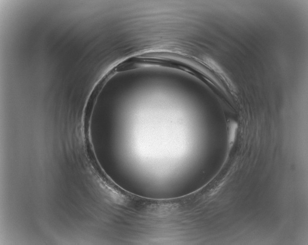 X0000067360884200603311215