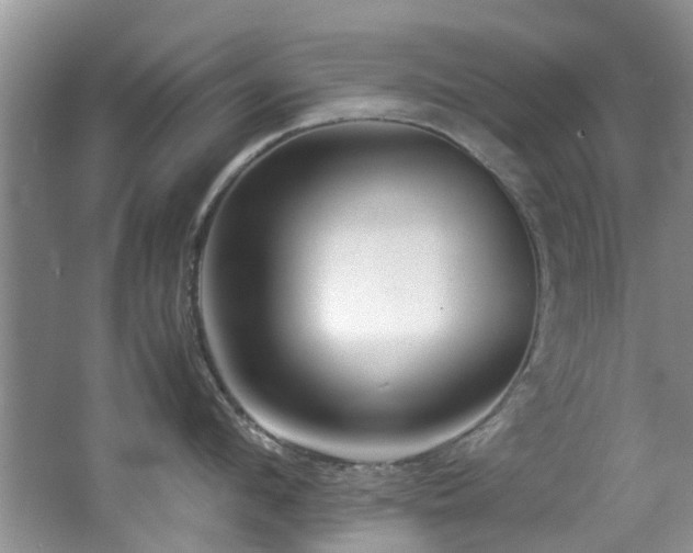 X0000067360912200603311215