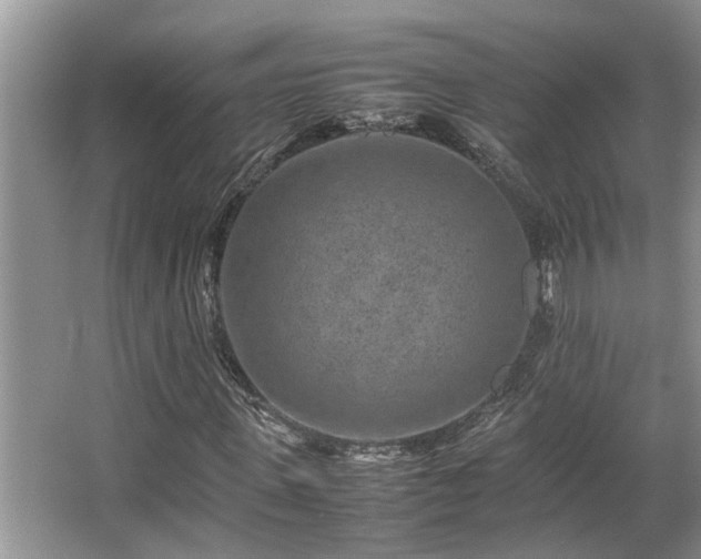 X0000067360915200603311214