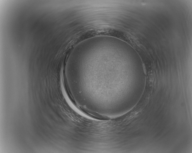 X0000067360916200603311214