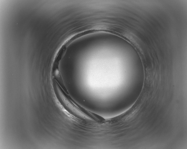 X0000067360939200603311214
