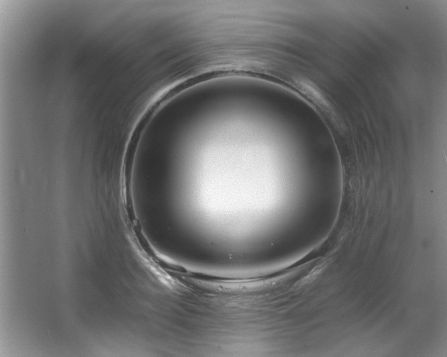 X0000067360940200603311214