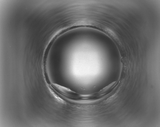 X0000067360942200603311214
