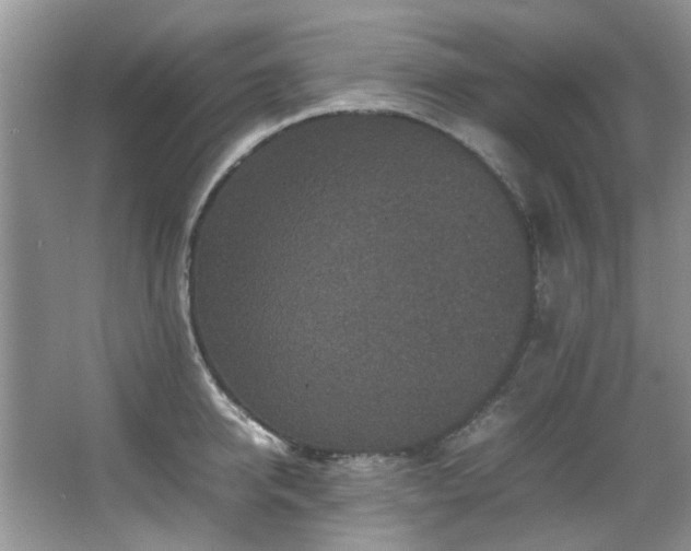 X0000067360950200603311215