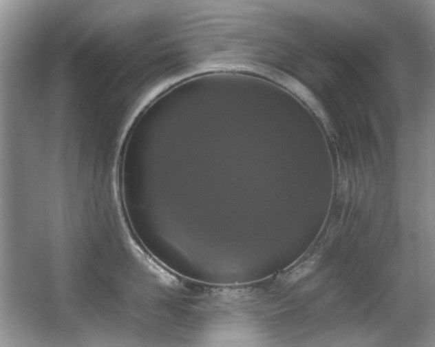 X0000067360958200603311215