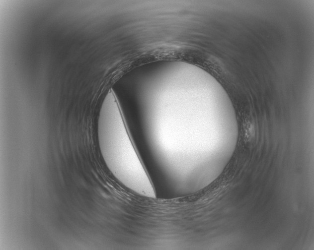 X0000067360964200603311214