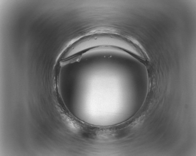 X0000067360973200603311214
