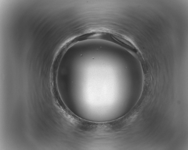 X0000067360979200603311214