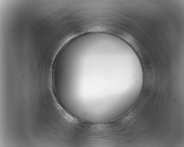 X0000067361000200603311213