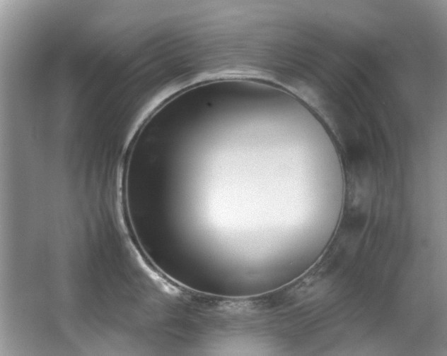 X0000067361006200603311213