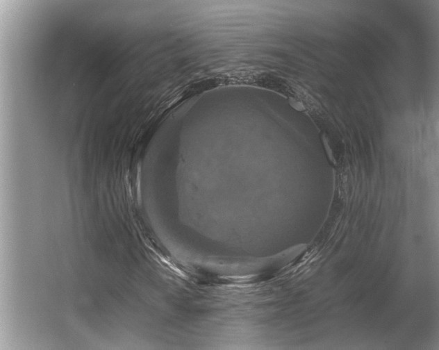X0000067361010200603311212