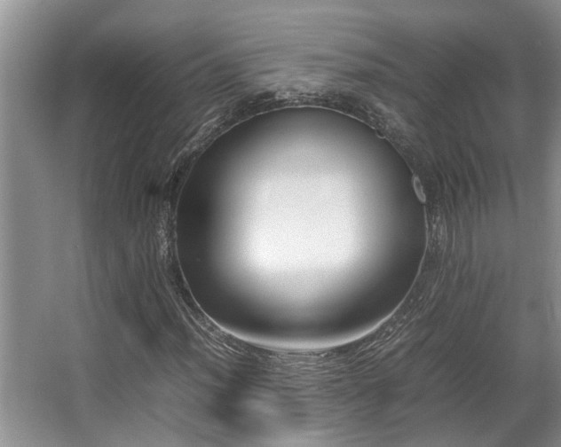 X0000067361012200603311212