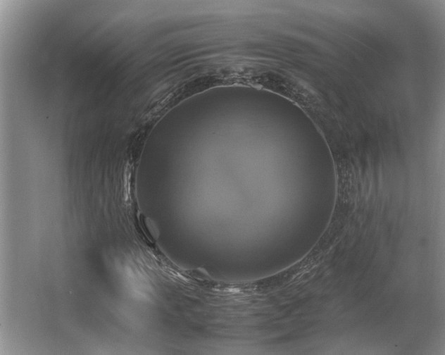 X0000067361013200603311212