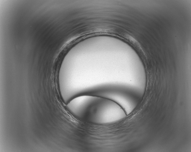 X0000067361019200603311213