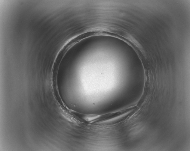 X0000067361020200603311213