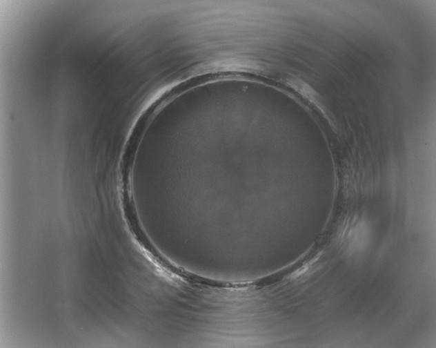 X0000067361024200603311213