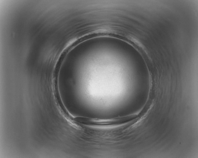 X0000067361029200603311213