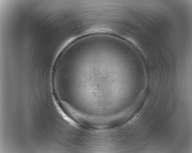 X0000067361038200603311213