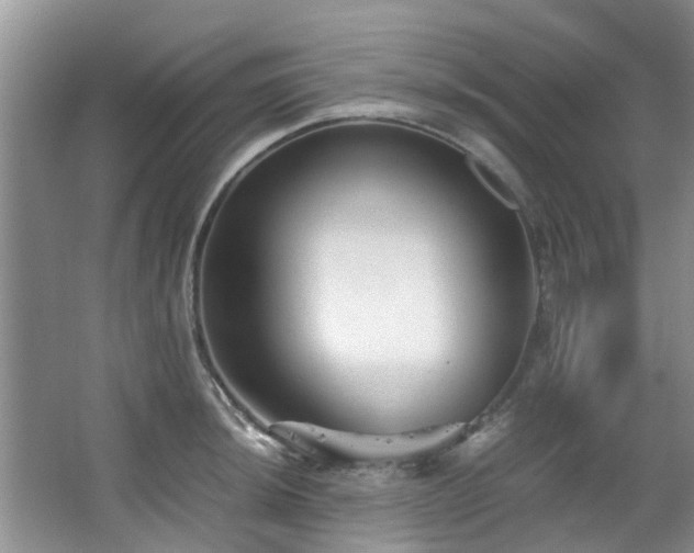 X0000067361044200603311213