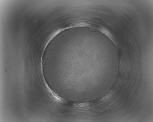 X0000067361047200603311213