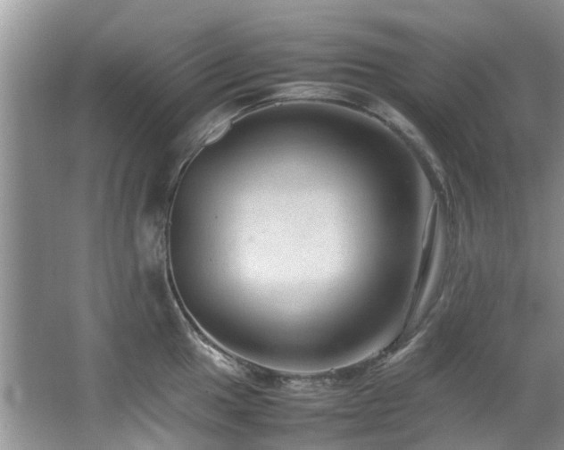 X0000067361049200603311213
