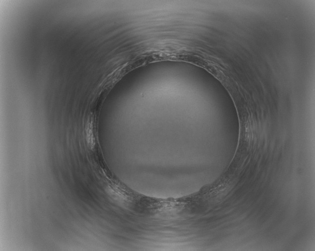 X0000067361060200603311212