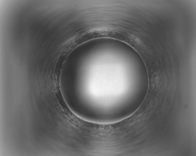 X0000067361062200603311212