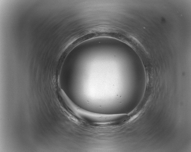 X0000067361065200603311212