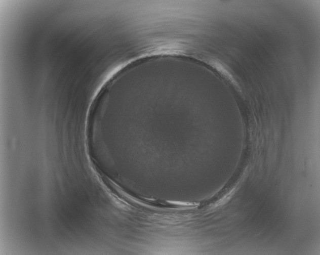 X0000067361077200603311212