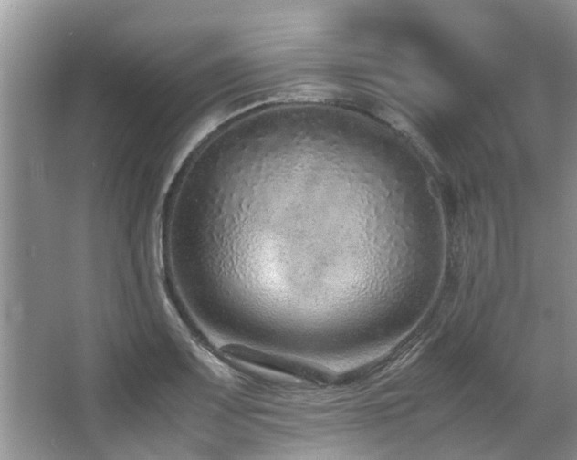 X0000067361083200603311212