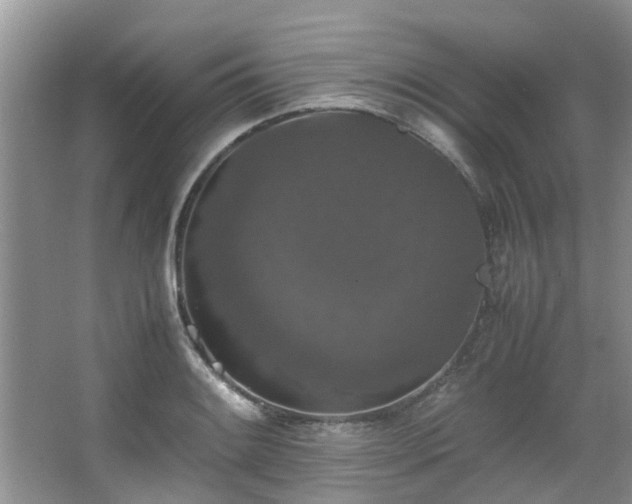 X0000067361084200603311212