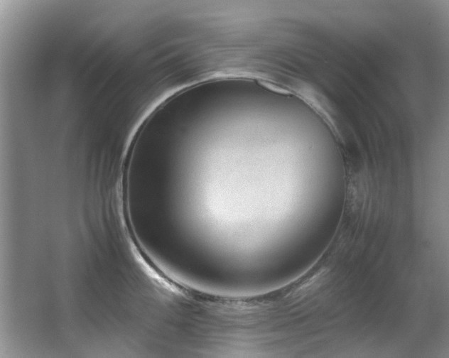 X0000067361100200603311212