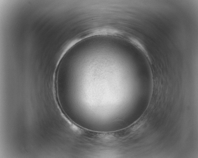 X0000067361103200603311212