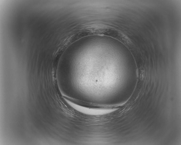 X0000067361108200603311211