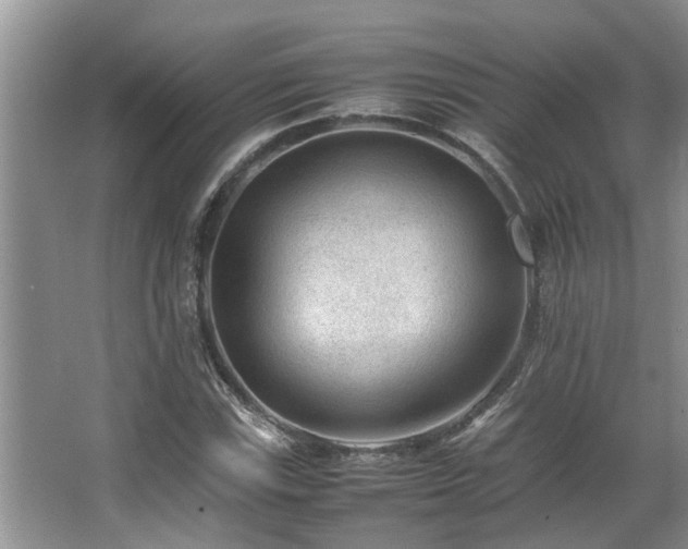 X0000067361115200603311211