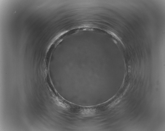 X0000067361117200603311211