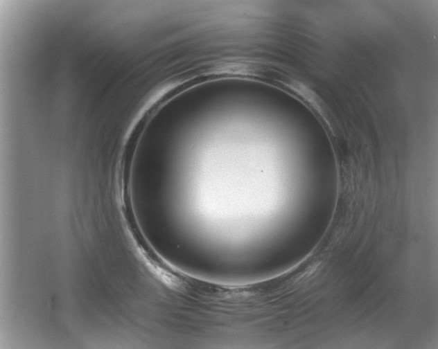 X0000067361131200603311211