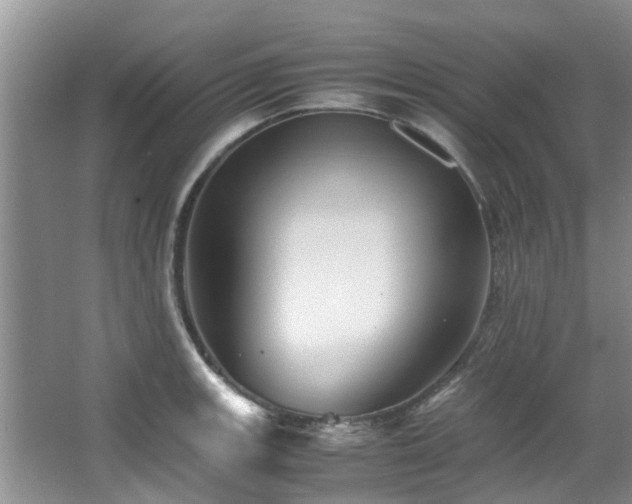 X0000067361139200603311211
