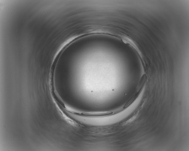 X0000067361149200603311211