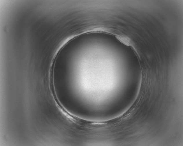 X0000067361151200603311212