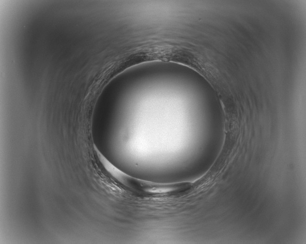 X0000067361153200603311211