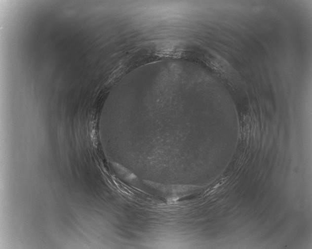 X0000067361154200603311211