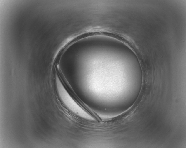 X0000067361167200603311210